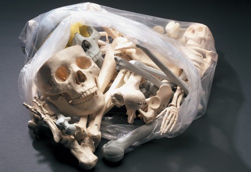 bag-of-bones