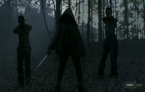 Michonne-Walking-Dead-Season-3