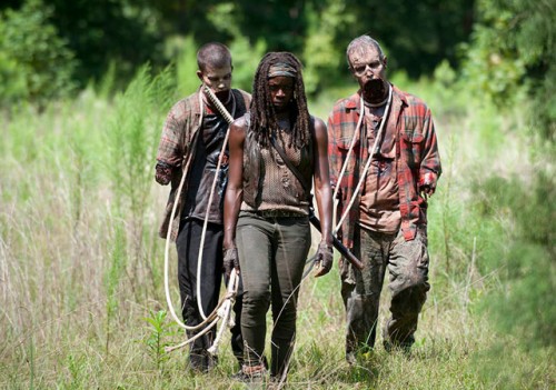 Michonne-Walking-Dead-4